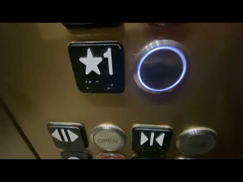 Tall Gold Kone traction elevators @ Restoration Hardware (The Mall at Green Hills)