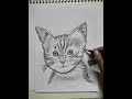 Menarik How to draw a cat face, Video Cat Face Sketch paling populer!
