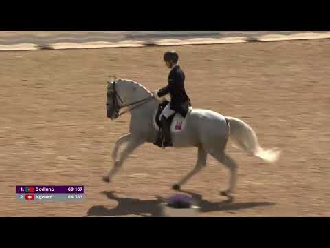 220807 WC Herning GP Garrett por Vasco Mira Godinho