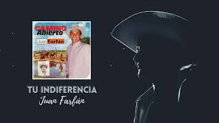 Tu Indiferencia Lyrics English Translation