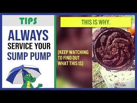 🐊Sump Pump Maintenance - Why Should I...