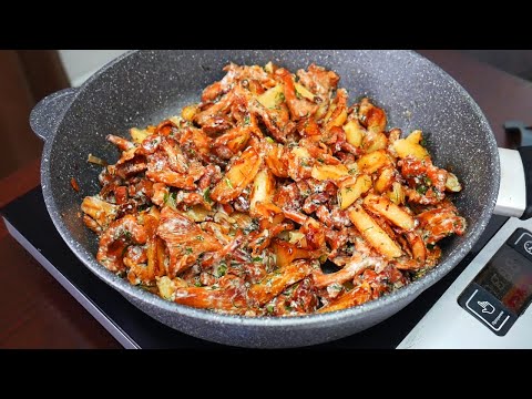 Жареная картошка с грибами. Лисички с картошкой