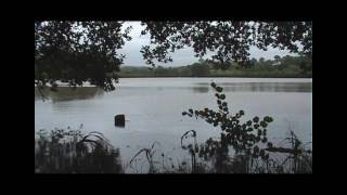 preview picture of video '2minutes of Teifi Flood'