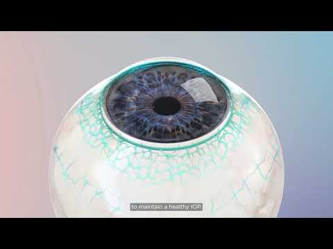 OMNI Ergo Animation