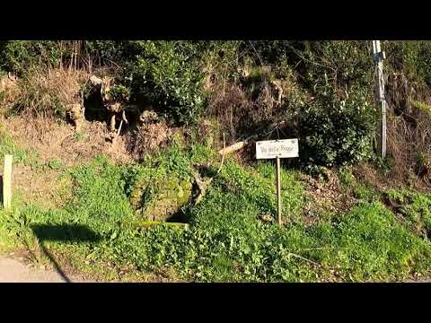 A Walk Around Proceno, Italy