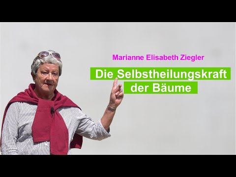 Die Selbstheilungskraft der Bäume
