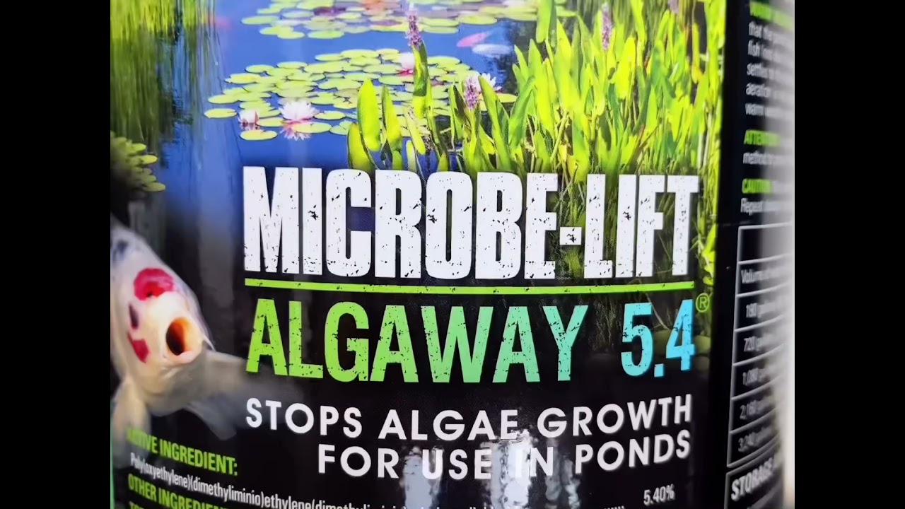 Microbe-Lift/Algaway 5.4