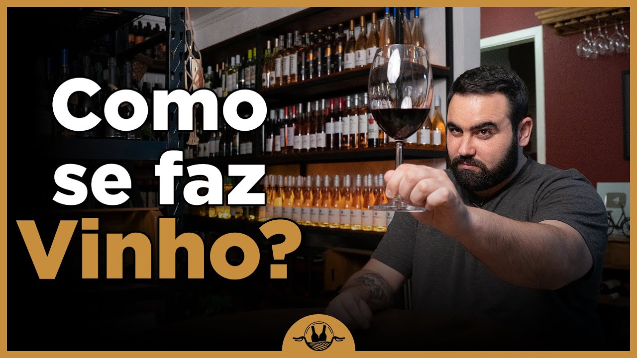 COMO FAZER VINHO: em 6 passos simples e didáticos.