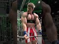 Arm blaster cable curl