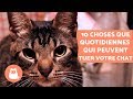 Credelio Pour Chat Prix Posologie Et Effets Secondaires Credelio Pour Chat Prix Posologie Et Effets Secondaires