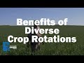 Benefits of Diverse Crop Rotations