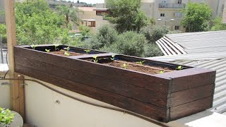 איך לבנות אדנית עץ גדולה (160-40-30) בעלות מינימלית