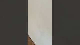 Album cover: Herringbone floor installation in a barn conversion 