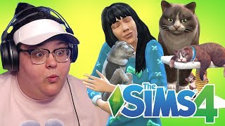 CRAZY CAT LADY | The Sims 4
