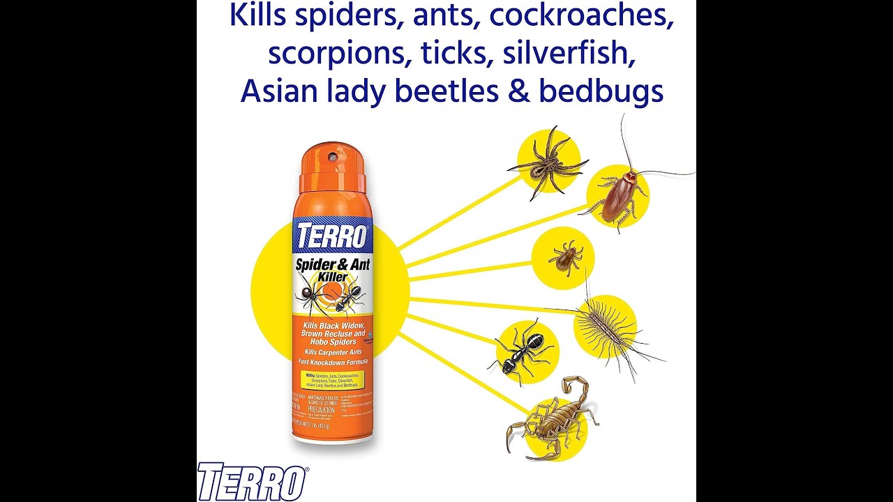 Terminate Spiders and More with TERRO T2302-6 Spider Killer Spray
