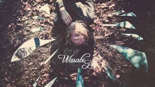 Lia Ices - Higher (Samuel Proffitt Remix) [Lyrics]