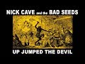 Nick Cave and the Bad Seeds 'Up Jumped the Devil' 2010 Digital Remaster