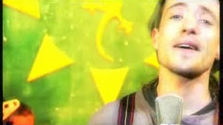 Lagarto Amarillo 'HOY'