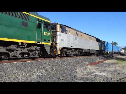 CM3304 / CM3301 / 1104 / 8037 / 1433 with Qube 5166 -  22/9/21