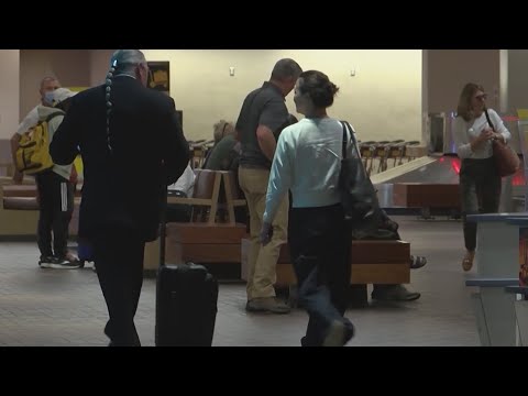 Sunport to renovate 'iconic' wooden lounge chairs in coming months
