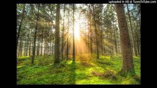 Download lagu bassoon trio Debussy:Dance(Tarantelle Styrienne) mp3 Download lagu bassoon trio Debussy:Dance(Tarantelle Styrienne) mp3