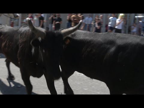 NOVES-BANDIDO (6-8.05.23)