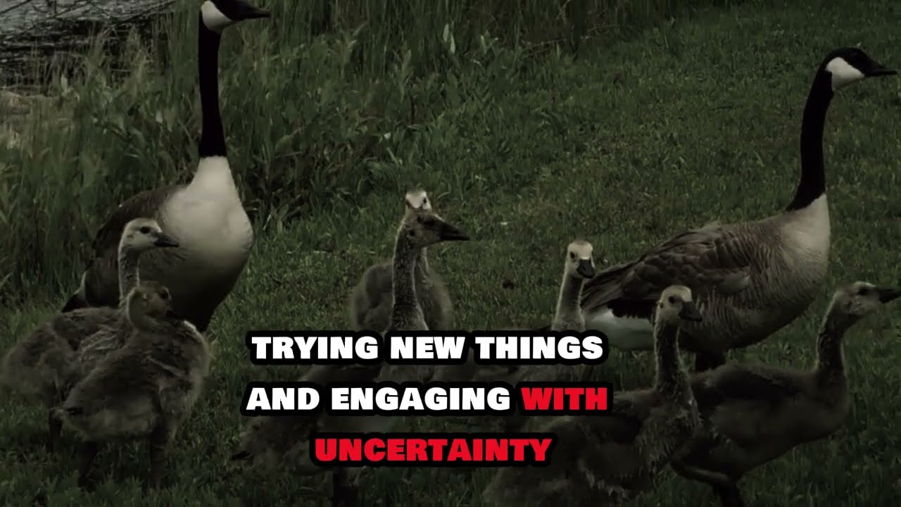 NEVER TELL PEOPLE WHAT YOU DO | BRENE BROWN POWERFUL MOTIVATIONAL SPEECH