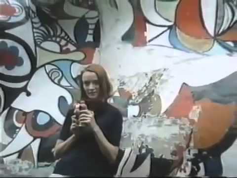 Niki de Saint Phalle  Instrospections and Reflections