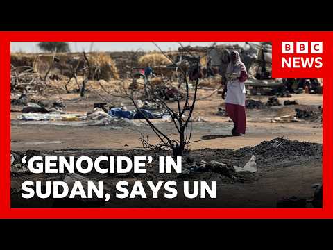 聯合國：蘇丹暴行是「種族滅絕的標誌」 | BBC News (Sudan atrocities 'hallmarks of genocide', UN says | BBC News)