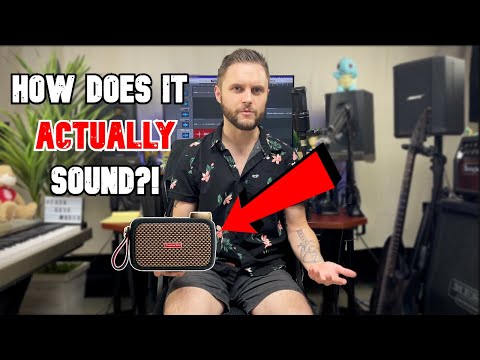 The Positive Grid SPARK GO Is Just OK...