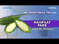 Manfaat Pare Untuk Ibu Menyusui