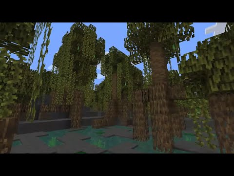 TROVO LA PALUDE DI MANGROVIA E TROVO IL WARDEN NELL' END!!!! Minecraft ITA - MikiCraft #24