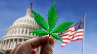 Cannabis Reclassification by the DEA Shakes Markets