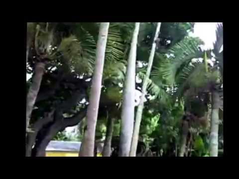 Fairchild Botanical Gardens Miami Florida Tour