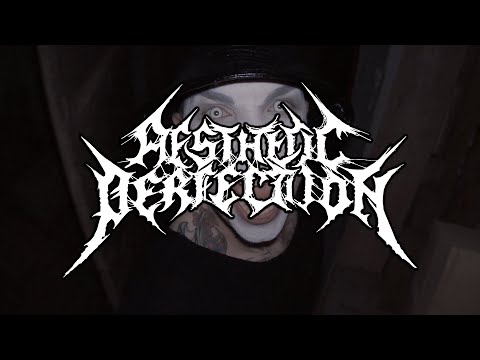 Aesthetic Perfection - We Bring the Beat (Official Lyric Video)