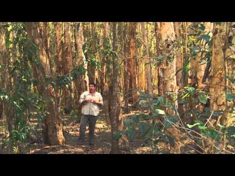 Myall Lakes National Park - Discover Downunder - Episode 13, Part 1