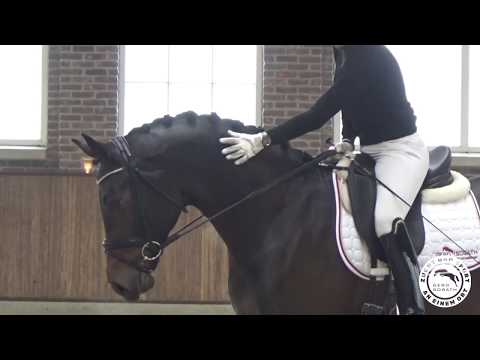 For Austria *2017 by For Romance x Diamond Hit