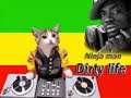 Ninja man - Dirty life