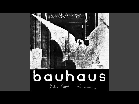 Boys video