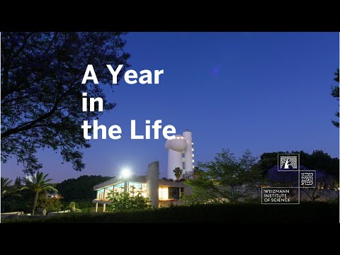 A Year in the Life