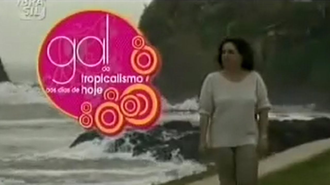 GAL - DO TROPICALISMO AOS DIAS DE HOJE (Parte 1)