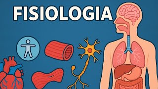FISIOLOGIA - MEMBRANA PLASMÁTICA - CARACTERÍSTICAS E TRANSPORTE