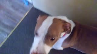 COOLIO DONT WANT NO MONEY