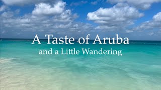 【カリブ海 アルバ島】ビーチ・レストラン・ちょこっと観光編 | Flamingo Beach | LG Smith's Steak | Ever Restaurant | THE JOURNEY