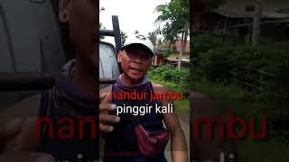 Download lagu Parian story WA..buat orang lemu😅 mp3 Download lagu Parian story WA..buat orang lemu😅 mp3