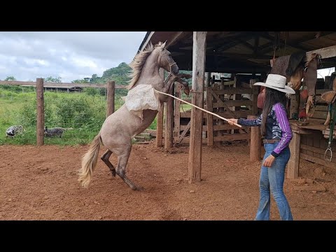 DOMANDO CAVALO XUCRO!😱🐴