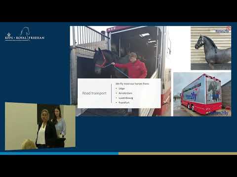 HK 2026 – Export van Friese paarden over de hele wereld | Pascale Drijfhout – Horses2Fly