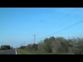 Red Tailed Hawks American Kestrel Harlan S Hawk White Tailed Hawk HD