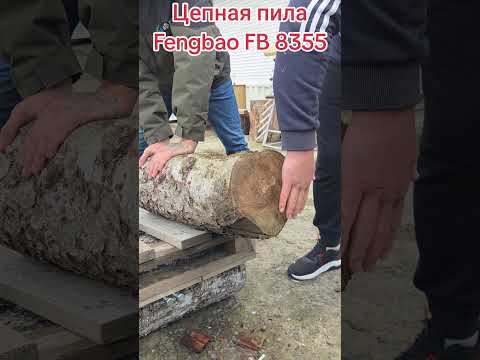 фото аккумуляторная цепная электропила fengbao fb 8355 0