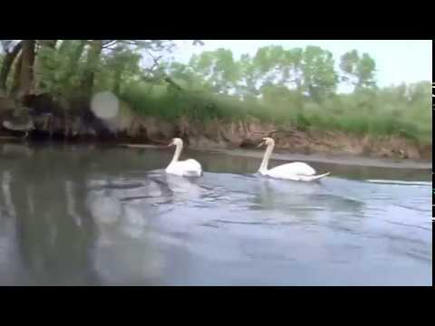 11° Torneo Internazionale "Città di Pordenone" - Promo Turismo